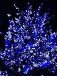 Winterlights Newfields Indianapolis Newfields Indiana Love Midwest Road Trip