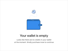 Empty Wallet Empty State Empty Wallet