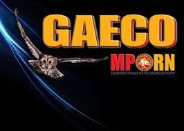 Resultado de imagem para GAECO POTIGUAR