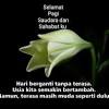 Kumpulan doa katolik dari anak untuk orang tua dan keluarga yang singkat dan baru sudah meninggal, sedang sakit, berulang tahun, dan sehat selalu. 1