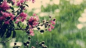 We did not find results for: Prognoza Meteo Pentru Luna Mai 2021 Anm Vremea In UrmÄtoarele Patru SÄptÄmani