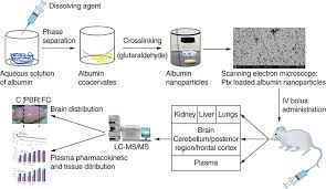 Image result for Warneckea sp.