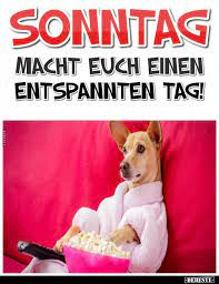 420 Lustige Bilder Von Sonntag In 2021 Lustig Memes Debeste