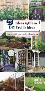Trellis is always synonymous with vertical garden design. 35 Diy Trellis Ideas How To Make An Outdoor Trellis