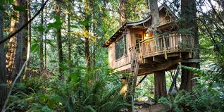 Read on if that sounds like your sort of tennessee escape. 9 Treehouse Hotels That Will Make You Feel Like A Kid Again Travelzoo