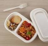 Sugarcane Bagasse Food Containers – Eco-Friendly ...