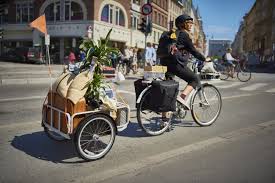 6 Things That Are Normal In Other Countries But Not In The U S According To Reddit Cargo Bike Everyday Bicycle Bicycle