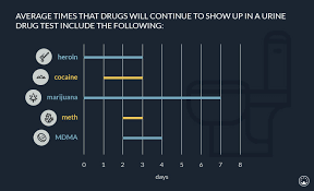 How Long Do Drugs Stay In Your System