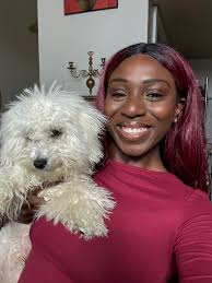 No' isn't in Milo's vocabulary… I don't make the rules 💁🏽‍♀️#dogmom  #doghumor #maltipoo #maltipoomom #cutedog #puppy