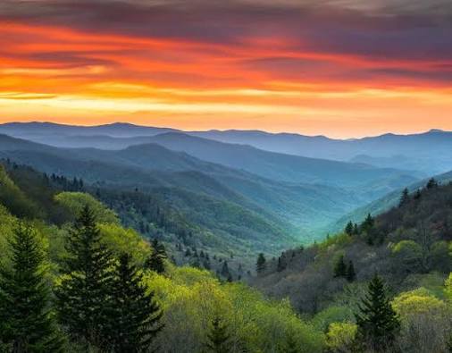 Explore the Great Smoky Mountains National Park in Bryson City NC