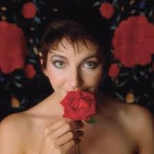 Mark Lehtonen (@MarkLehtonen)