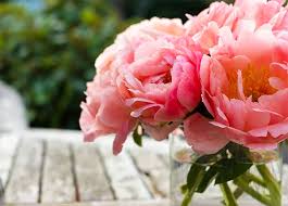 But, forget having expensive floral arrangements delivered. The 15 Best Flowers For A Cut Flower Garden Purewow