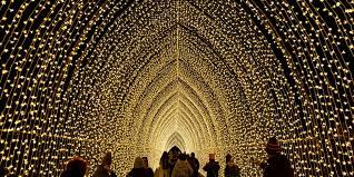 Lightscape Opens This Month At Brooklyn Botanic Garden