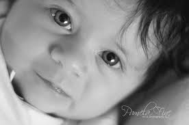 Pamela Fine Art & Photography