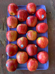 Check spelling or type a new query. Washington Apple Commission Washington Appl Twitter