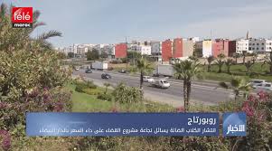 انتشار الكلاب الضالة يسائل نجاعة مشروع القضاء على داء السعر بالدار البيضاء تيلي ماروك