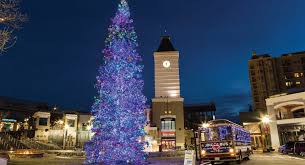 And, this holiday season it's brimming with christmas celebrations, spectacular displays of twinkle lights, concerts. Florida Holiday Lighting Installation Brite Nites Premium Lighting