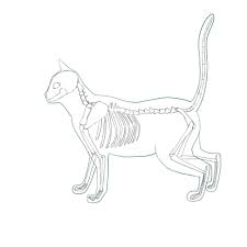 Check spelling or type a new query. How To Draw A Cat 2 Body And Pose Medibang Paint