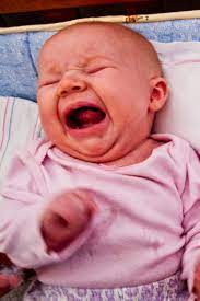 Infant Crying Wikipedia