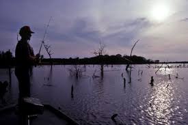 There are also good fishing and shady campsites if you are planning to stay overnight. Purtis Creek State Park Cedar Creek Lake