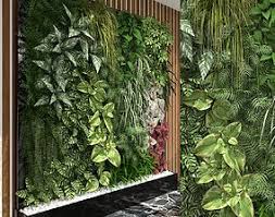 Plant 3d Models Cgtrader