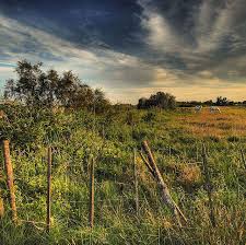 Camargue Silence And Peace Camargue Tourisme Parc Naturel