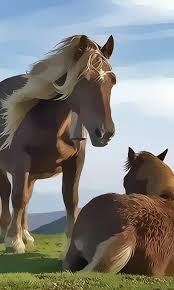Horses for us mean perfection. Free Horse Games For Android Apk Download