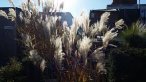 Unser auftragsgebiet umfasst überwiegend die städte wetter, sprockhövel, witten, herdecke, dortmund und hagen. Gartenbau Wuppertal Landschaftsbau Terrassen Gartenbau Sprockhovel Landschaftsbau Terrassen