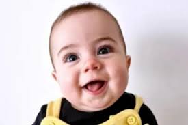 Belgian Malinois attack: Coventry baby girl mauled to death in 'less than a  second' after being attacked by 31kg pet dog