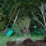 Die bahn besteht aus drei booten, einem wasserflugzeug, vier spielfiguren,. Wasserspass Im Eigenen Garten Gartenzeitung Com