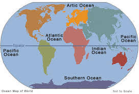 Amazing arctic facts for kids. Fun Ocean Facts For Kids