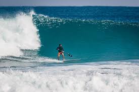 Blueline Surf Paddle Co Blueline Surf Paddle Co