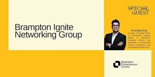 Brampton Ignite - Networking Group