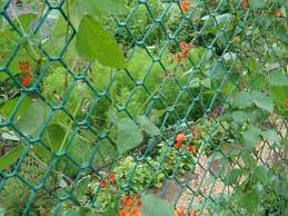 Maybe you would like to learn more about one of these? Plant Support Mesh Plant Support Netting Pp Uv Stabilized Any Color