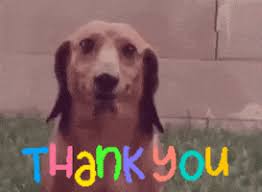 Llll➤ hundreds of beautiful animated thank you gifs, images and animations. Funny Thanks Gifs Get The Best Gif On Giphy