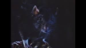 Willard (1971): Two Takes « disorientations.com