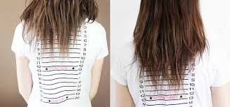 Silica For Hair Growth Gel Bamboo Supplements Before And After Reviews