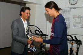 If you were rafael nadal, you dropped by a penguin nursery in melbourne with your trainer, after destroying a competitor in the australian open and having… Zlatan Ibrahimovic And Rafael Nadal Rafael Nadal Rafa Nadal Zlatan Ibrahimovic