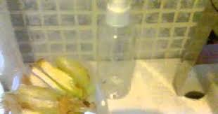 lotion pour accelerer la pousse des cheveux youtube masque
