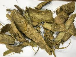 Image result for Oroxylum