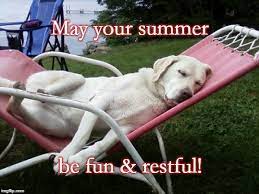 Dog days of summer meme. Dog Days Of Summer Latest Memes Imgflip