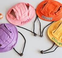Custom Embroidered Name Bucket Hat for Cat, Adjustable Pet ...