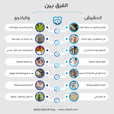 الفرق بين الحشيش والبانجو في الشكل واللون والطعم والآثار الجانبية