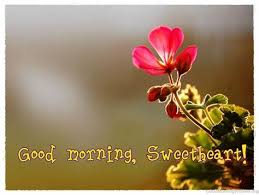 We did not find results for: 10 Cara Sederhana Mengucapkan Selamat Pagi Dalam Bahasa Inggris A Maze World Of Queen Anjar Susilayati