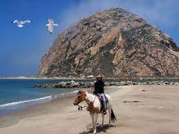 All rides are appropriate for first time, moderately experienced, and experienced riders. Morro Bay Horse Back Riding At Morro Rock Atascadero Inn