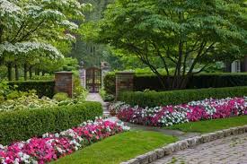 Picture, if you will, the towering hedges on the grounds of an english estate or bordering the yard of a quaint cottage. 37 Best Flower Hedge Ideas 23 Is So Easy Hedge Ideas English Garden Design Traditional Landscape