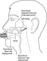 Experimenting with taking the tongue off while tongue blocking on the harmonica. How To Prepare For Bending Notes On The Harmonica Dummies
