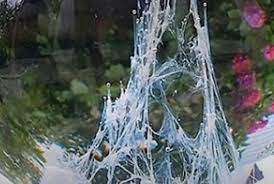 Per fare il rito della barca di san giovanni non ci vuole nulla di difficile se non una brocca, dell'acqua, un uovo e una persona anziana che sa interpretare l'esito del rito. Voig4l3ixjrmmm