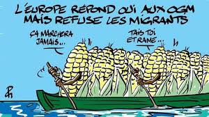 Ong Et Ogm Humour Politique Satirique Humour