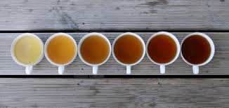 Caffeine Questions How Much Caffeine Is In Tea Choice